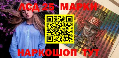крисы Владимир