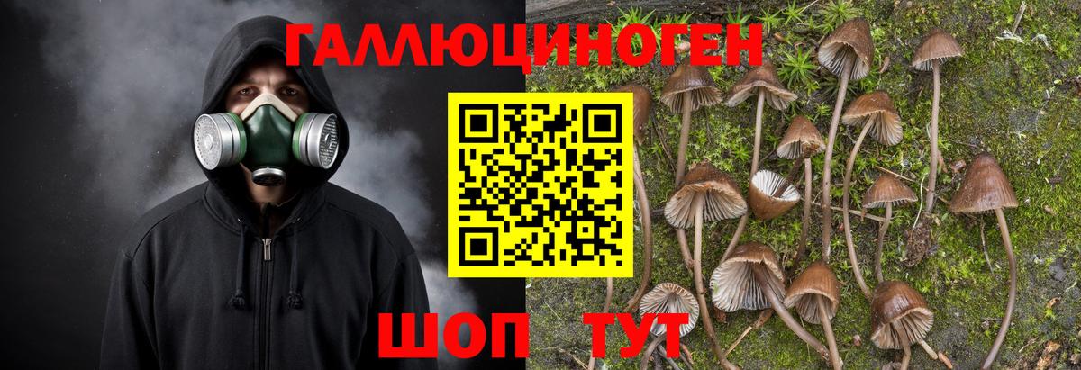 Псилоцибиновые грибы прущие грибы Торжок