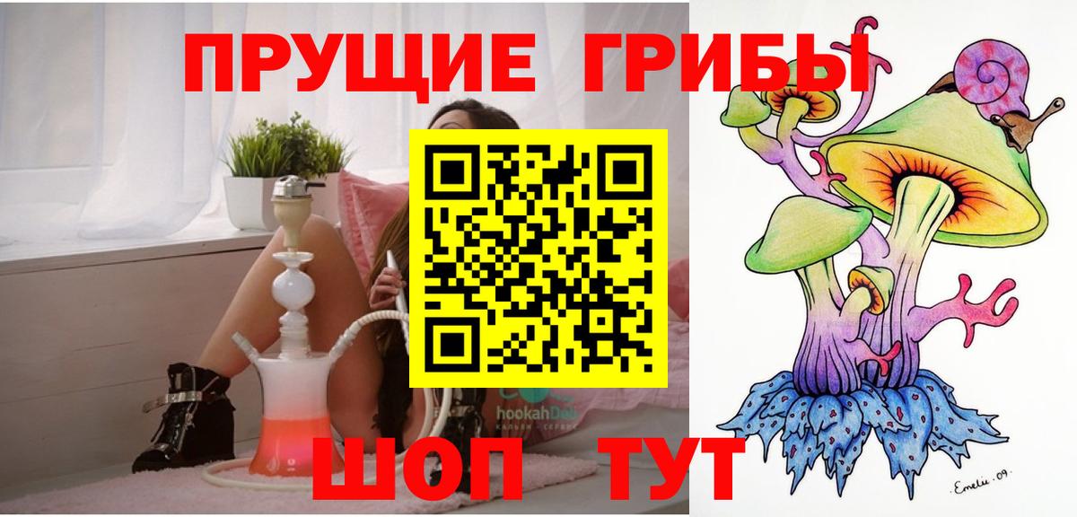 Галлюциногенные грибы GOLDEN TEACHER  Галлюциногенные грибы MAGIC MUSHROOMS  Вход с VPN  Торжок 